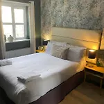 The Ivy